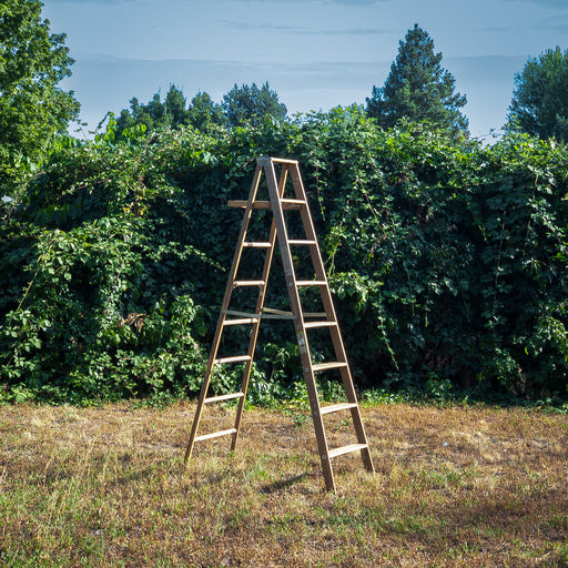 Load image into Gallery viewer, Ladder (Short Sleeve)